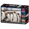 PUZZLE 3D - PINGVIN 500 KOM 61x46cm NAT.GEOGRAPHIC