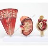 Nefron i glomerul bubrega. Anatomski model