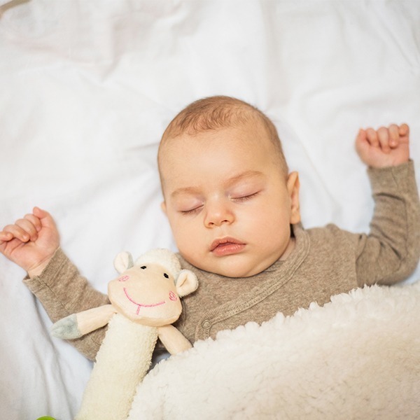 Škripavac Slatka Janje