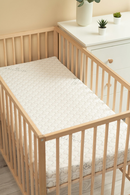 Madrac Fleksibilni 120X60 (11 cm)